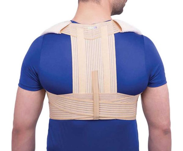 bin-210451-ador آدور قوزبند الاستيک صادراتي پل دار XL / 2XL - تصویر 1
